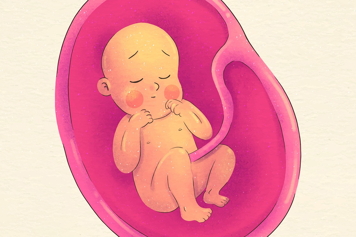¿Qué siente el bebé en el útero?